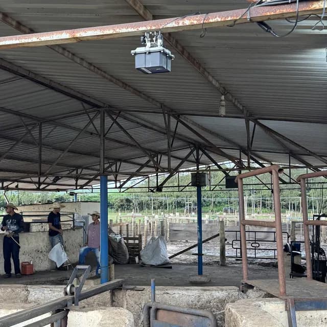 Câmera Kindra presa na cobertura do curral, acima do corredor por onde o gado passa