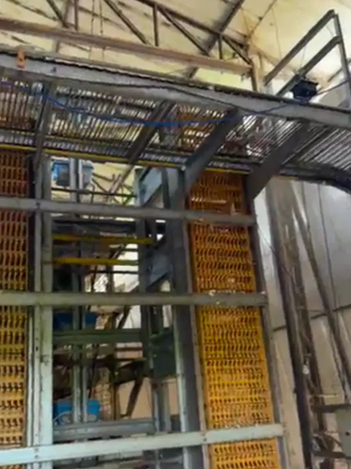 Estrutura de um aviário de postura por dentro