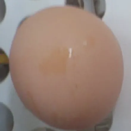 Ovo sujo de gema, visto pela câmera